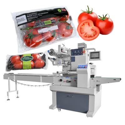 China Well-designed automatic fruit corn silage food pouch vegetable biltong packing machine for sale