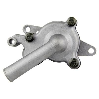 China Engine Water Pump Assy For 250CC 257CC 260CC 300CC 400CC VOG Yamaha Linhai Manco Greenhouse Scooter Jinlang Go Kart ATV With Errors MIYP250-5067 for sale