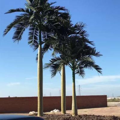 China Large Coastal Artificial Outdoor Plants UV Resistant Artificial Palm Trees for sale