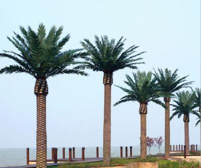 China Coastal promotion outdoor large artificial palm trees for decoration for sale