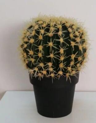 China Minimalist Popular Large Fake Cactus Artificial Cactus Plants for sale