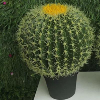 China Factory price minimalist artificial cactus with pot for office and garden decoration for sale