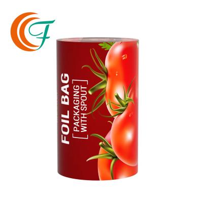 China Professional Film Pouch Packaging Manufacturer Heat Sealing Flexible Packaging Film Te koop