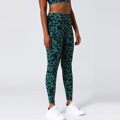 China Leopard Logo Gym Athleisure Wear Women Breathable Custom Butt Lifter Seamless Fitness Butt Lifting Gaiters Crac! crack! for sale