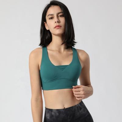 China New agency sports bra crop top sports bra backless sexy back high strength breathable wholesale adjustable sports bra goods in stoc for sale