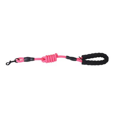 China Padded dog rope glide lead; durable nylon leash customize logo color padded handle for sale