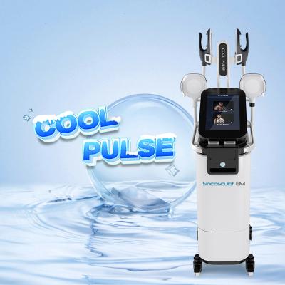 China Weight Loss Sincoheren Newcomers 2 in 1 EMS and Cryo Suclpting Pulse Machine Fat Reduction and Cool Body for sale