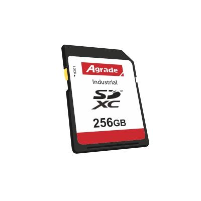 China Good Performance Mini Plastic SD Card 256GB Memory Card Memory Cards For PS for sale