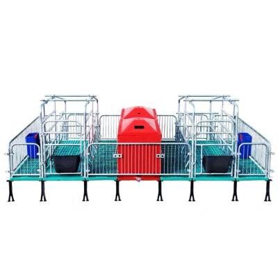 China Farms Galvanized Pig Farm Equipment Farrowing Crate for sale