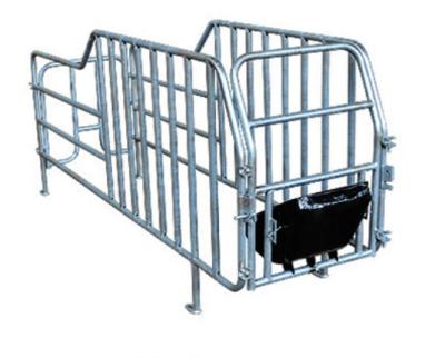 China Cultivate high quality cage factory direct sales of gestation pig sty for sale