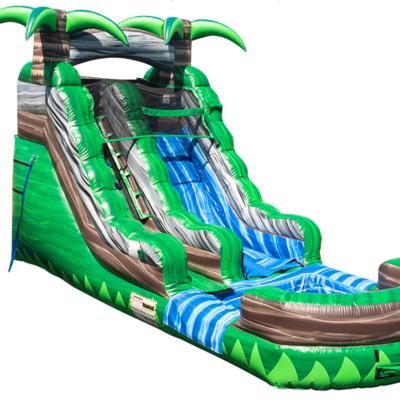 China Party/Rental/Retail/Backyard/Public/Amusement Park Inflatable Wet Slide etc. Commercial Grade Rainforest Water Slide Pool Water Slide for sale