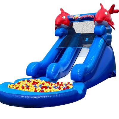 China Party/Rental/Retail/Backyard/Amusement Park/Public Inflatable Bouncer etc. Slide Pool Fish Ocean Jumping Wet Slide Inflatable Water Slide For Kids for sale