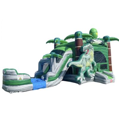 China Party/Rental/Retail/Backyard/Amusement Park/Public House etc. bounce dinosaur and dry slide combo inflatable wet n castle for sale