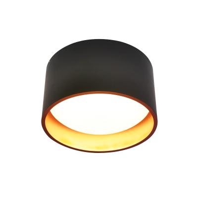 China New Modern Ceiling Hanging 53W Modern Ceiling Lamp For Balcony Corridor for sale