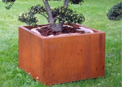 China Encaixote o plantador de aço de Corten da forma para exterior/jardim/decoração pública à venda