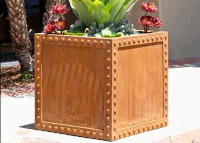 China Potes de acero comerciales del plantador de Corten para la estabilidad de la corrosión de la yarda/jardín en venta