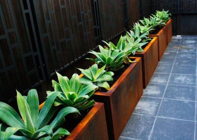 China Plantadores quadrados personalizados Corten exterior do metal uma altura material de 50cm à venda