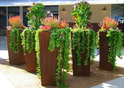 China Caixas grandes de floreira de aço corten estilo moderno para decoração externa com 80 cm de altura à venda