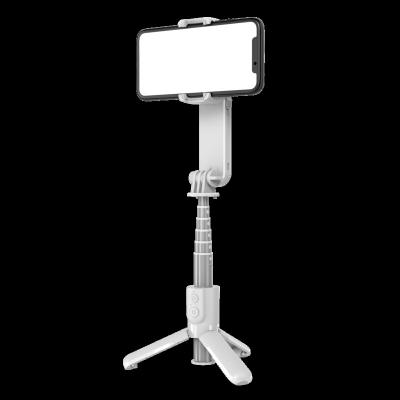 China 2021 add. Mobile Phone Selfie Stick Handheld Live Video Portable Anti-Shaking Flexible Anti-shake Tripod Blue Remote Control Live for sale