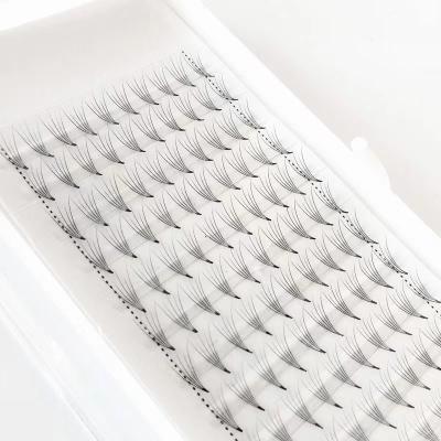 China Full Volume Extension Supplies 0.03 0.05 0.07 Volume Whips Extension Lash Trays Wholesale Eyelash Extension for sale