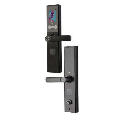 China Add Doorbell Function 2020 New Digital Fingerprint Biometric Face Recognition Smart Door Lock With Doorbell Function for sale