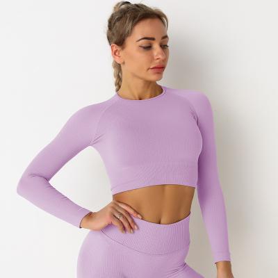 China Seamless Breathable Gym Tights Women Fitness Gym Wear Crewneck Sweatshirt Custom Women Long Sleeve Crop Tops for sale