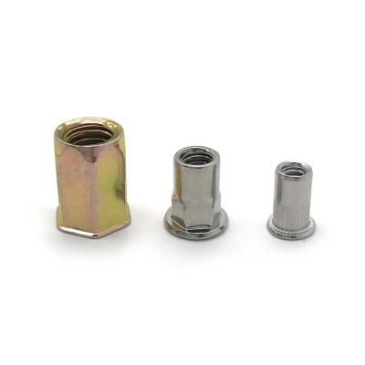 China Automotive industry noise flat head blind rivet pressure threaded inserts 10mm rivet nut stainless steel rivet nut m4 m5 m20 m8 m3 m12 for sale