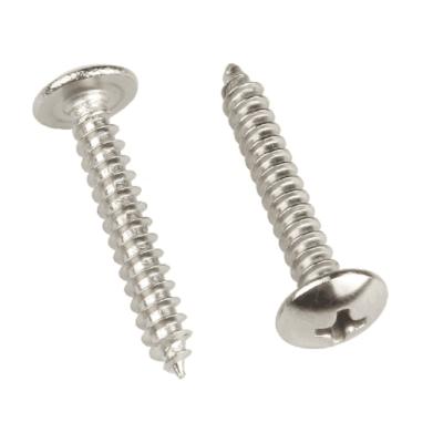 China Luggage Tip 304/316/304L/316L Stainless Steel Self Repair Flat White Zinc 10*4*16MM SCREW REACH Environmental Protection for sale