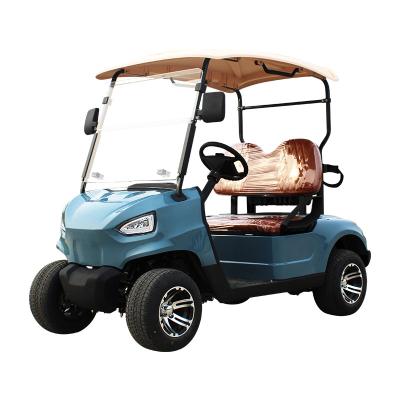 China 2 Seats Golf Cart WH2020K/2 Passengers Lifted Buggy 205/50-10 (Tire Golf Dia 460mm) for sale