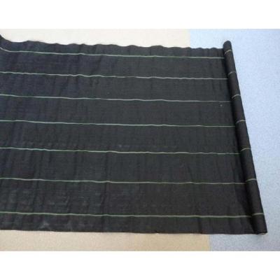 China 1m x 50m Weedmat weedbarrier check mat 100gsm pp plastic woven fabric garden China supplier for sale