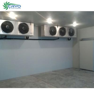 China Customized design fruits block large cold storage room fresh room for seeds coldroom for food processing for sale