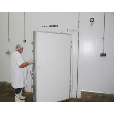 China Industrial Frozen Ultra Low Temperature Cold Room Cold Storage Blow Freezer For Tuna for sale