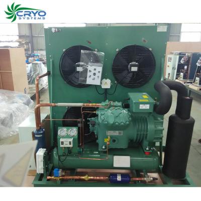 China Hotels Freeze Unit Indoor Walk In Freezer Units Refrigeration Compressor Unit Price List for sale