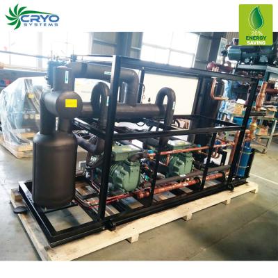 China Hotels Rack Multi Condensing Unit Compressor Refrigeration System For Cold Room for sale