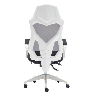 China Mesh Office Chair Executive Ergonomic Full Adjustable Office Plastic (Height) Chair for sale