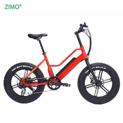 China CE 2021 Certificated Aluminum Fat Tire Adult Electric Bike With Brushless Motor for sale