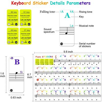 China Wholesale Decorative Sticker Piano Keyboard Sticker Piano Keys Note Labels Piano Notes Guide Universal For Keyboards for sale