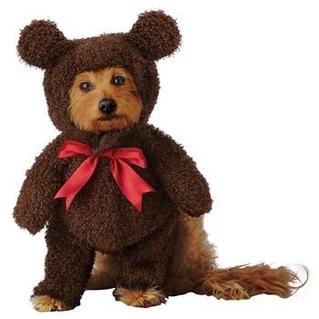 China Teddy Bear Viable Costume for Pets for sale