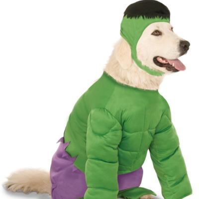 China Sustainable Carcass PC0154 Big Dog Pet Costume Green Suit With Hat for sale