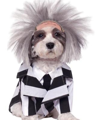 China PC0012 Viable Beetlejuice Costume For Pets Dog Costume With Wigs for sale