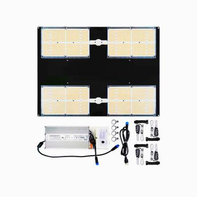 China Seed Starting Newest Meijiu Q4 MEIJIU QB288 648 , Highest Efficiency 650W Led Boards Grow Lights Full Spectrum lm301h lm301b 3000K 3500K / 3500K for sale