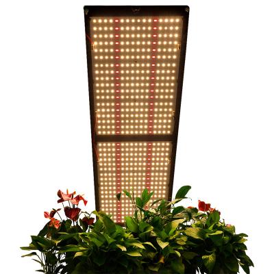 China FLOWER New 2022 Best Selling Meijiu Meiju Folux Lm301H MEIJIU QB288 V3 COB Samsung Panel Led Growing Dual Sided Kit For Indoor for sale