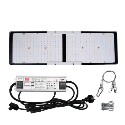 China FLOWER Grow Shop Grow Light And High Quality Full Spectrum 110w 240w 450w 600w Modular Board Type Led Grow Light Lm301b Lm301h for sale