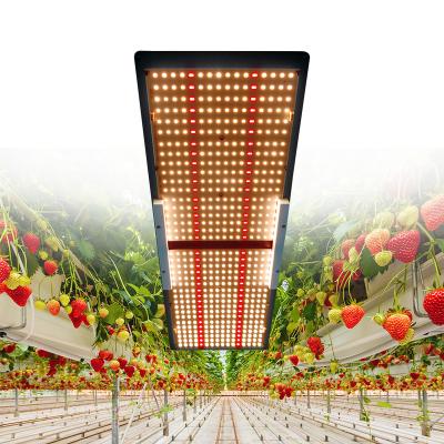 China Seed starting Meijiu ETL listed MEIJIU QB288, spec. 240W Samsung LM301B LM301H Horticulture Mix Deep Red Better Than Vertical Agriculture Led Grow Light for sale