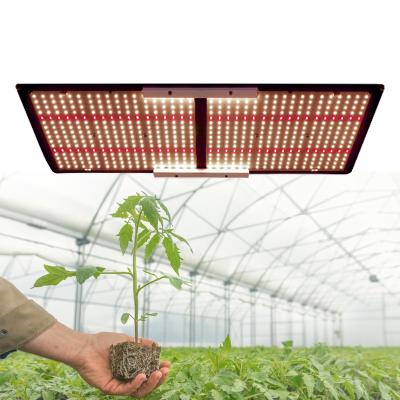 China Seed starting Meijiu FOLUX 240w diy led grow light 288V2 PLUS Samsung lm301b 3000k 3500K with 660nm for sale