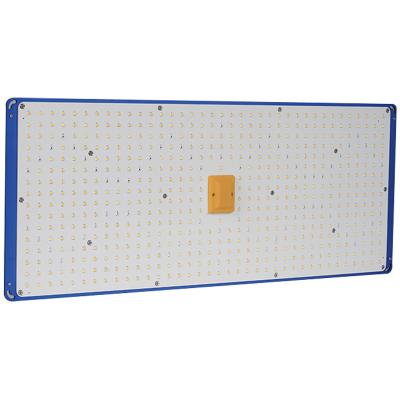 China Factory Price Eco-friendly Factory Price LM301H LM301B 3000K 3500K Led Growing Light MEIJIU Dimmable PCB 240W Lamp Panel Eco-Friendly for sale