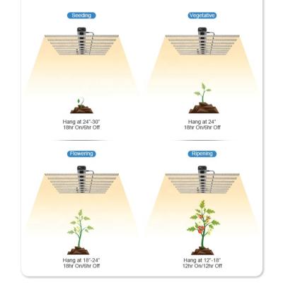 China Seed Starting Product Plant Best Selling Vegetable Light LED Grow Light Bar for sale