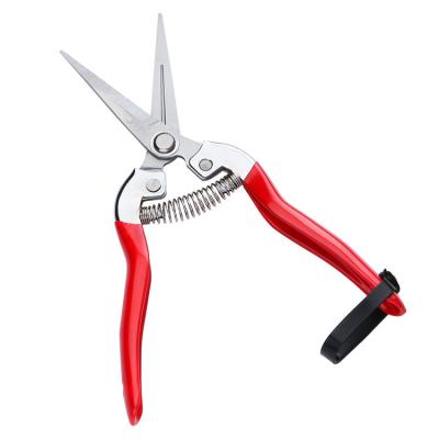 China Hot Selling Anti-Slip Handle Garden Picking Fruit Plant Scissors With Anti-Slip Plastic Handles for sale