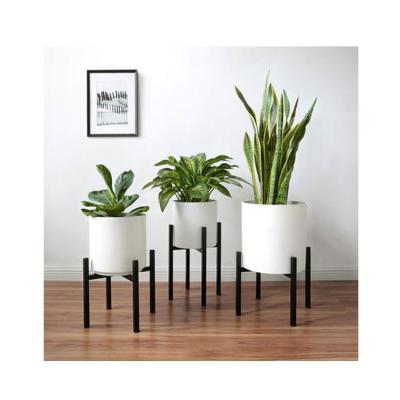 China Large Eco - Friendly Plant Rack Material Adjustable Plant Stands Indoor Modern for sale