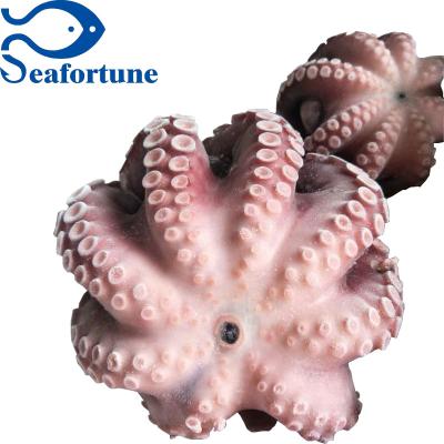 China Chinese Wholesale Frozen IQF Sea Blossom Frozen Blanching Octopus Health for sale